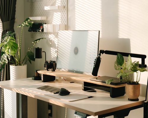 Desk setup showing indirect natural sunlight and indoor plants
